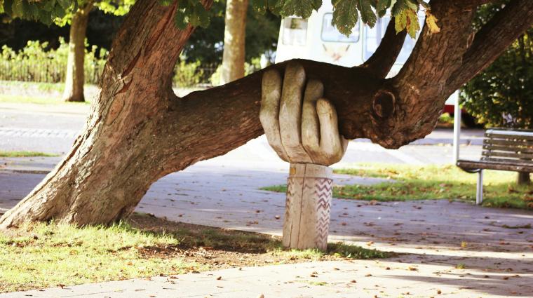 Hand die kromme boom ondersteunt